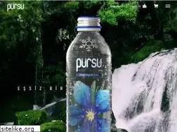 Sites similar to pursu.com.tr