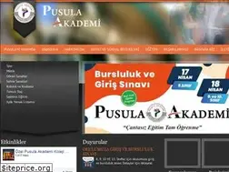 Sites similar to pusulaakademi.com.tr