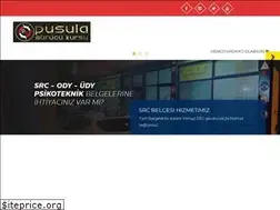 Sites similar to pusulasurucukursu.com