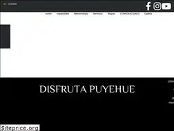 Sites similar to puyehuechile.cl