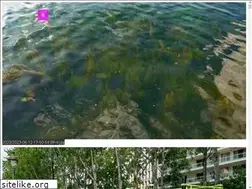 Sites similar to puyraimond.net