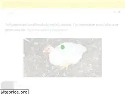 Sites similar to pycsanmarcos.com.mx