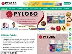 Sites similar to pylobo.com