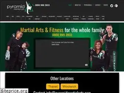 Sites similar to pyramidmartialarts.com