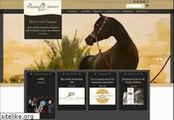 Sites similar to pyramidsociety.org