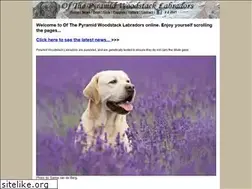 Sites similar to pyramidwoodstack.nl