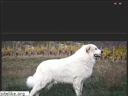 Sites similar to pyreneanmountaindog.gr