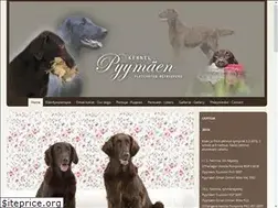 Sites similar to pyymaen.com