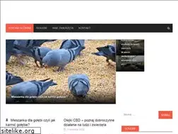 Sites similar to pzhgpkoscian.pl