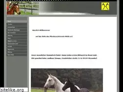 Sites similar to pzv-melle.de
