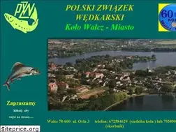Sites similar to pzwwalcz.pl