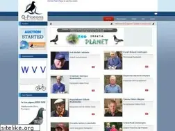 Sites similar to q-pigeons.com