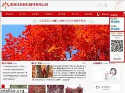 Sites similar to qdhfw.com