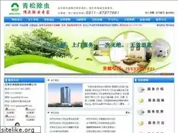 qingsong999.com