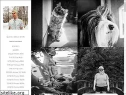 Sites similar to qosmith.com