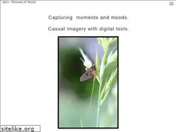 Sites similar to qrts.dk