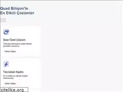 Sites similar to quadbilisim.com