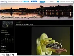 Sites similar to quandonyagoute.canalblog.com