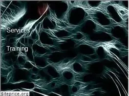 Sites similar to quantum.mu