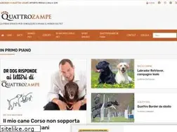 Sites similar to quattrozampe.online