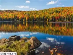 Sites similar to quebecauthentique.com