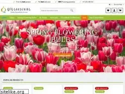 Sites similar to queenflowerbulbs.com