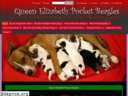 Sites similar to queensbeagle.com