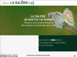 Sites similar to quelestcetanimal-lagalerie.com