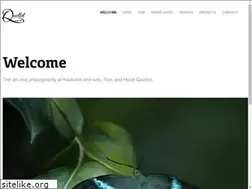Sites similar to quelletfineart.com