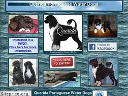 Sites similar to queridapwds.com