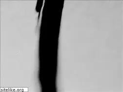 Sites similar to quesnelarqs.mx