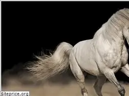 Sites similar to questionablecontent.horse