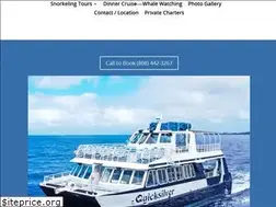 Sites similar to quicksilvermaui.com