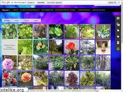 Sites similar to quieroaprendersobreplantasyflores.blogspot.com