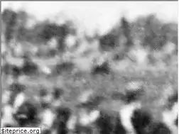 Sites similar to quincey.info