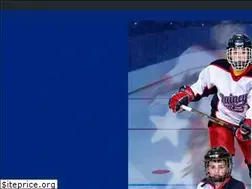 Sites similar to quincyyouthhockey.net