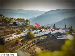 Sites similar to quintadonoval.com