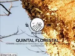 Sites similar to quintalflorestal.com.br
