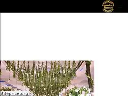 Sites similar to qundeelahmed.com