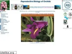 Sites similar to r-b-o.eu
