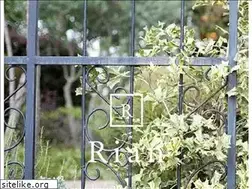 Sites similar to r-i-a-n.jp