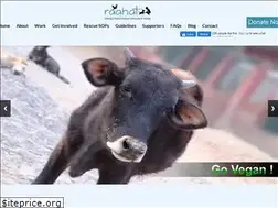 Sites similar to raahatforanimals.org