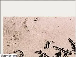 Sites similar to raak.fr