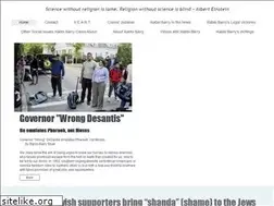 Sites similar to rabbibarrysilver.com