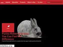 Sites similar to rabbitchow.com