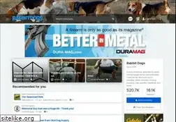 Sites similar to rabbitdogs.net