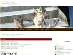 Sites similar to rabbitmate.com