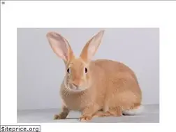Sites similar to rabbitsmarties.com