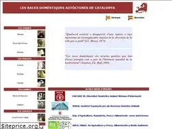 Sites similar to rac.uab.cat
