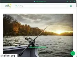 Sites similar to raca-company.ba